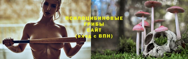шишки Алзамай