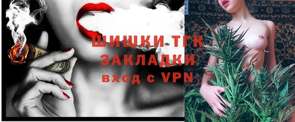 шишки Алзамай