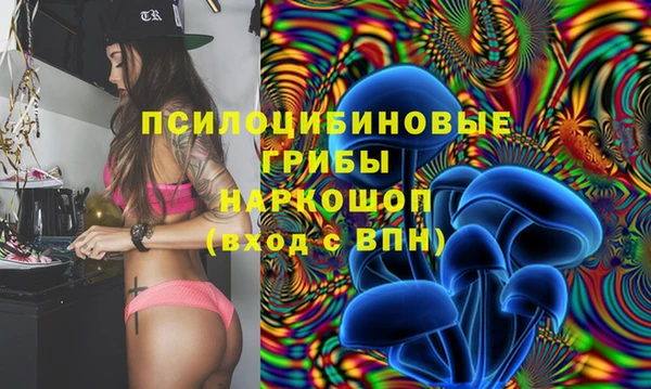шишки Алзамай