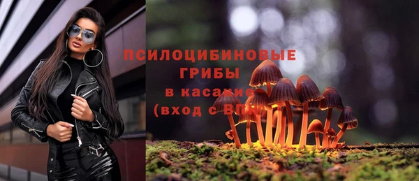 шишки Алзамай