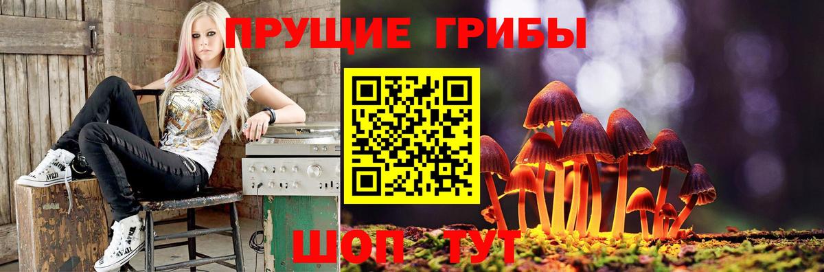 Галлюциногенные грибы Cubensis  Вход с VPN  Тосно 