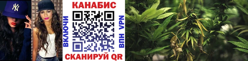 продажа наркотиков Тосно OMG ссылка Бошки Шишки VHQ