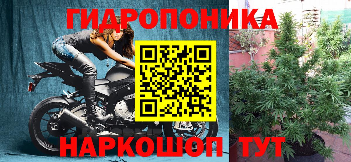 Бошки Шишки SATIVA & INDICA Тосно
